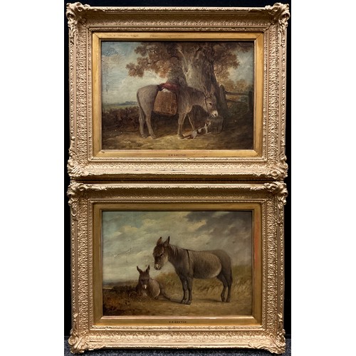 496 - Edward Robert Smythe (British, 1810-1899), A Pair, Donkey with foal, and Donkey with companion, oils... 