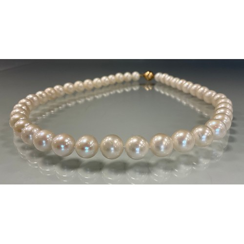 183 - A cultured creamy white individually knotted pearl necklace, 9ct gold ball clasp, 39cm long.