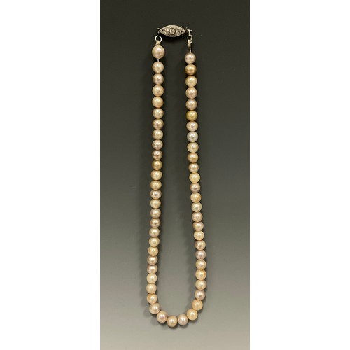 277 - An early 20th century pearl necklace, the strand of fifty five pearls approximately 7mm to 6mm in di... 