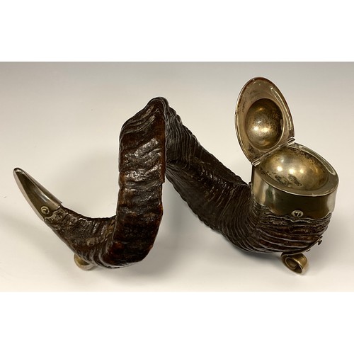 1219 - A 19th century Ram's horn inkwell with silver-plated mounts 16cm high, 30cm long.