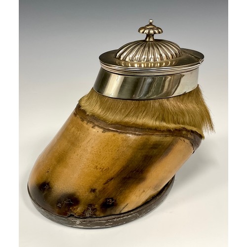 889 - A 19th century Horse Hoof inkwell with silver-plated mounts, 15cm high, 16cm long.