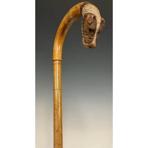 702 - A 19th century bamboo walking cane, the handle terminal finely carved as the head of a terrier, glas... 