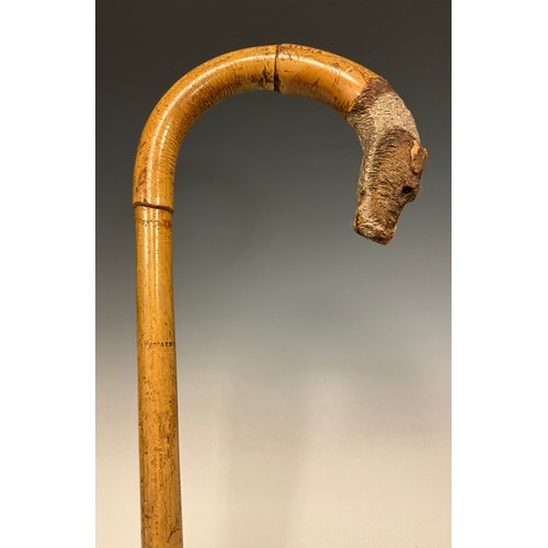 702 - A 19th century bamboo walking cane, the handle terminal finely carved as the head of a terrier, glas... 