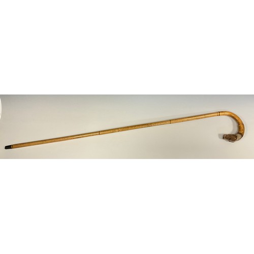 702 - A 19th century bamboo walking cane, the handle terminal finely carved as the head of a terrier, glas... 