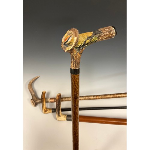 703 - A walking cane, with red deer antler handle finely carved and painted with a Firecrest bird, 90cm hi... 