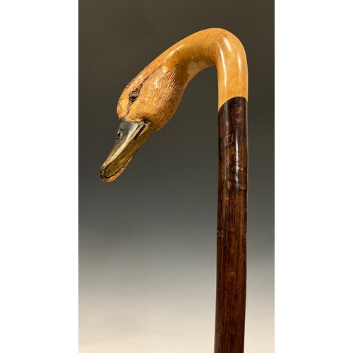 705 - A 20th century carved wooden walking stick, by Ian Taylor, the handle realistically carved as the he... 