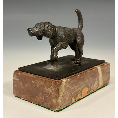 878 - A 19th century bronze figure, as a sporting gun dog, fore paw raised, marble plinth, 6.6cm high, 7.5... 