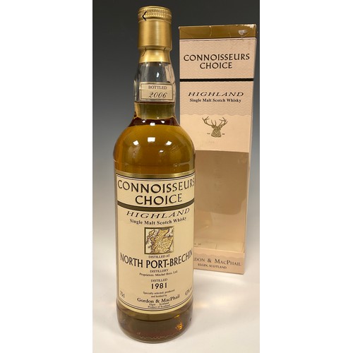 1166 - Whisky - a Connoisseurs Collection North Port Brechin 1981 Highlands Single Malt Scotch Whisky, bott... 