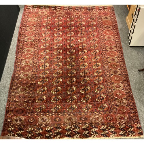 1289 - A Turkman Bokhara rug, hand-knotted, typical repeating geometric design, in red with black, orange, ... 