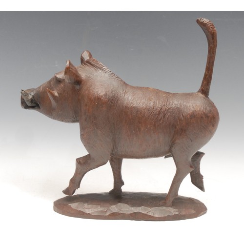 3247 - An amusing carved hardwood warthog, running with tail raised, 31cm high, 31cm wide, early 20th centu... 