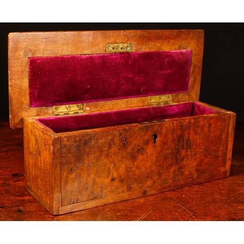 3003 - A 19th century vernacular pollard oak box, hinged cover, damson velvet lined interior, 29cm wide, c.... 