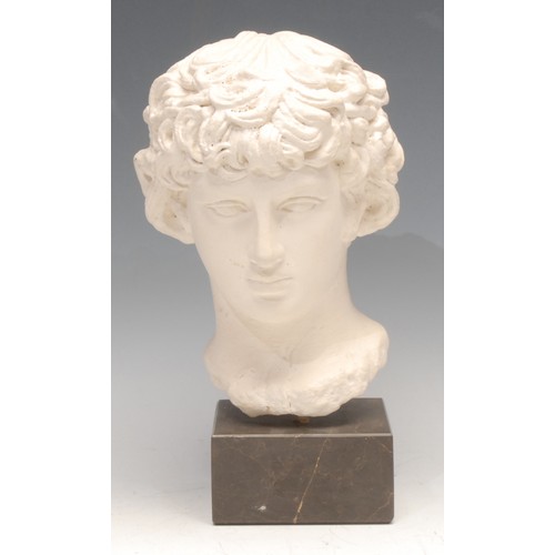 3119 - A museum type plaster facsimile, head of Antinous, after the antique, marble base, 25.5cm high