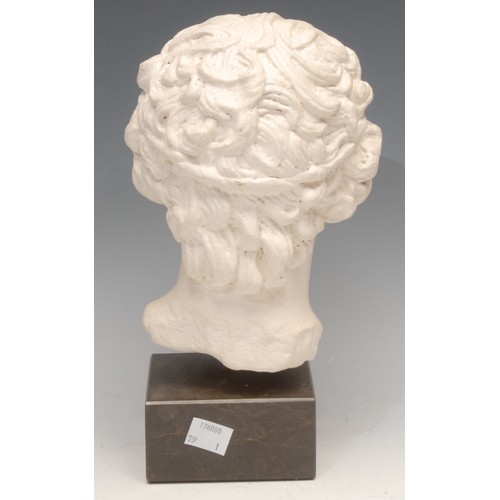 3119 - A museum type plaster facsimile, head of Antinous, after the antique, marble base, 25.5cm high