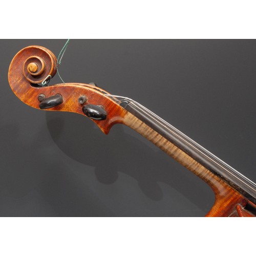 3730 - A violin, the two-piece back 35.5cm long excluding button, paper label printed Giovan Paolo Maggini,... 