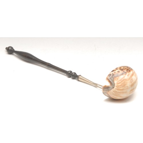 3005 - A 19th century 'wunderkammer' punch ladle, cowrie shell bowl, turned ebonised handle, 38cm long