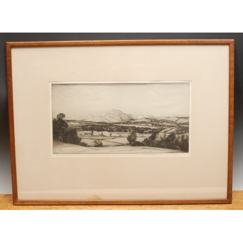 4026 - John George Mathieson (Scottish 1880 - 1954), by and after, Ben Ledi, drypoint etching, signed in pe... 