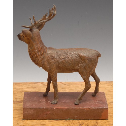 3260 - An Austrian cold painted spelter model, of a stag, recrtangular marble base, 18cm high,