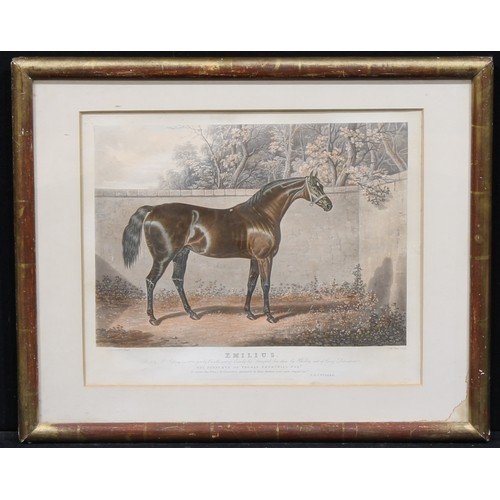 4018 - Horse Racing - Charles Hunt Snr (1803-1877), by, John Frederick Herring the elder, after, Emilius, T... 