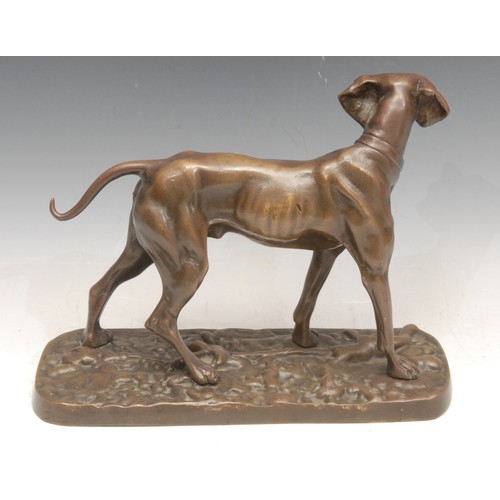 3274 - An early 20th century bronze figure of a hunting dog, listening for prey, cast metal base, 19cm high... 