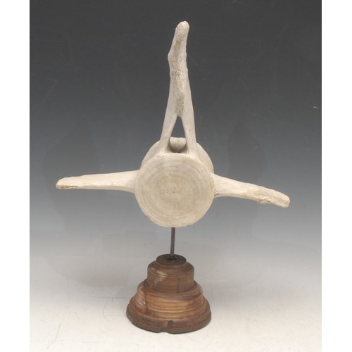 3806 - Natural History - a shark vertebrae, mounted on a turned wooden stand, stamped 4337, 35cm high