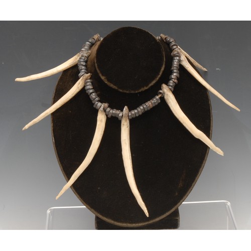 3774 - Tribal Art - a Naga tooth necklace, 36cm long