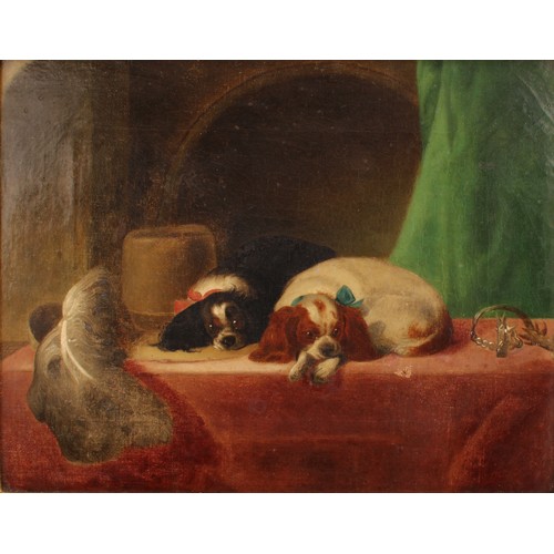 3986 - English School (19th century) a pair of King Charles spaniels, oil on canvas, 29cm x 37cm