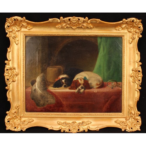 3986 - English School (19th century) a pair of King Charles spaniels, oil on canvas, 29cm x 37cm