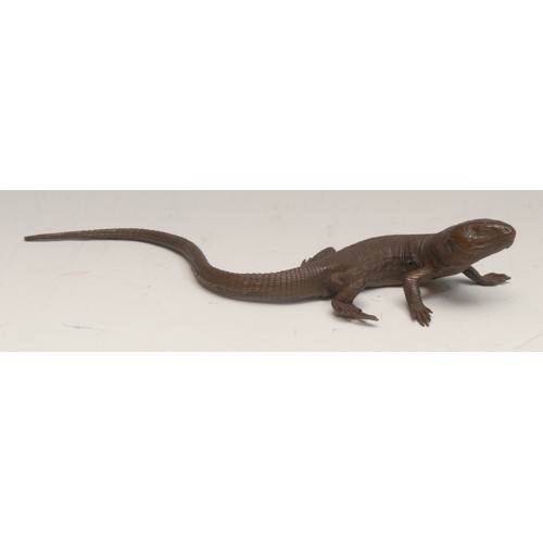 3256 - An Austrian brown patinated cabinet bronze, of a lizard, 18cm long, c.1900