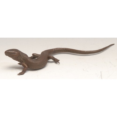 3256 - An Austrian brown patinated cabinet bronze, of a lizard, 18cm long, c.1900