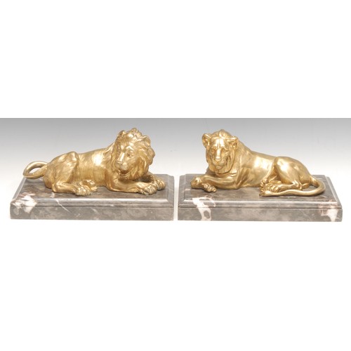 3398 - French School  (early 20th century), a pair of gilt bronzes, Lion and Lioness, rectangular marble ba... 