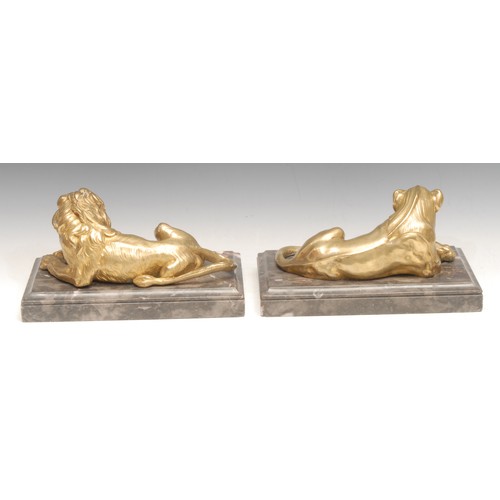 3398 - French School  (early 20th century), a pair of gilt bronzes, Lion and Lioness, rectangular marble ba... 