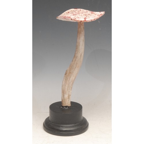 3827 - Natural History - Mycology - a painted model of a fungus specimen, mounted for display, 23cm high ov... 