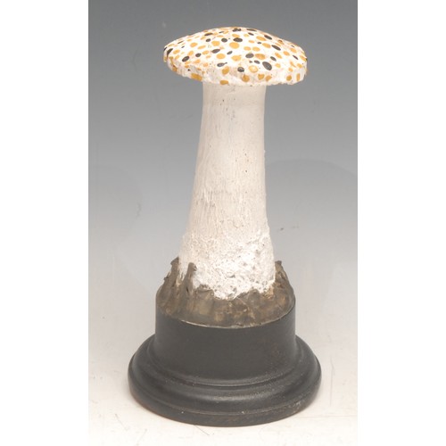 3820 - Natural History - Mycology - a painted model of a fungus specimen, mounted for display, 17.5cm high ... 