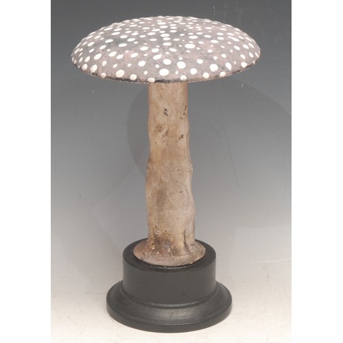 3828 - Natural History - Mycology - a painted model of a fungus specimen, mounted for display, 23cm high ov... 