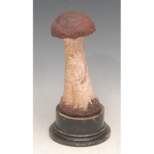 3821 - Natural History - Mycology - a painted model of a fungus specimen, mounted for display, 17cm high ov... 