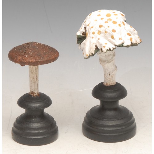 3817 - Natural History - Mycology - a painted model of a fungus specimen, mounted for display, 13cm high ov... 