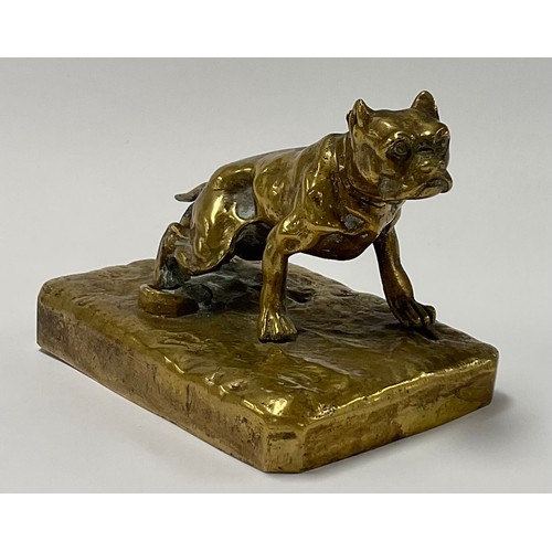 63 - French School (early 20th century), a gilt patinated bronze, of a bulldog