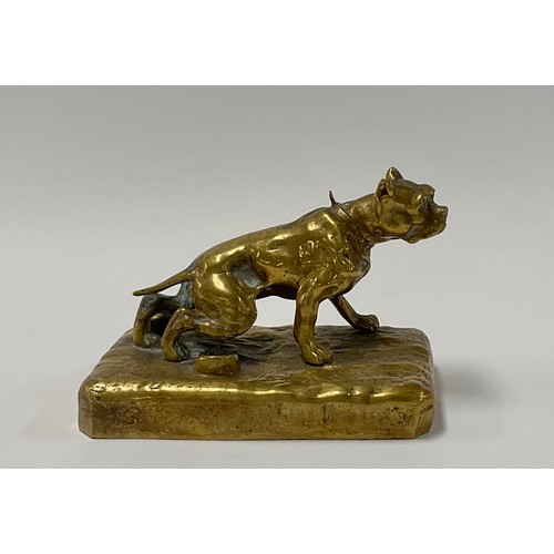 63 - French School (early 20th century), a gilt patinated bronze, of a bulldog