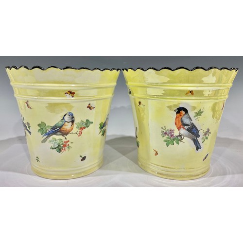 71 - A pair of late 19th century porcelain ice buckets, each pail decorated with garden birds and insects... 