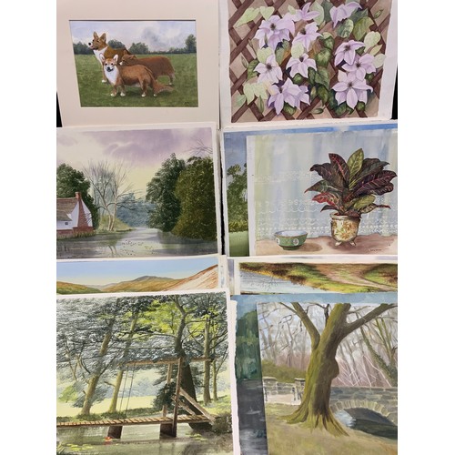 79 - Betty Warner and A. G. Warner, a large portfolio of watercolour paintings, and oils on board - lands... 