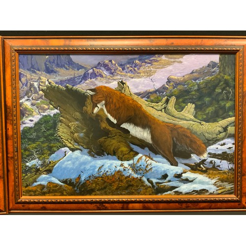 120 - W Taylor, pair, Cougar and Arctic Fox, signed, oils on board, 50cm x 75cm (2)