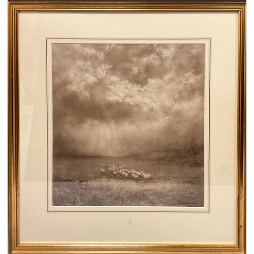 65A - Edward Kington Brice, R.B.S.A. (1860-1948), Sheep in a field after rain, signed, grisaille watercolo... 