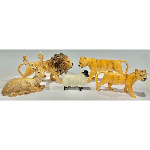 36 - A Beswick model of a lion, 24cm long; others, lioness, lion cub, stag and ram (5)