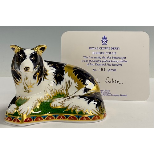 4 - A Royal Crown Derby paperweight, Border Collie, limited gold backstamp edition, 994/2,500, gold stop... 