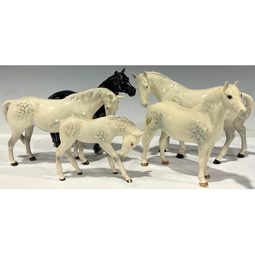 68 - A Beswick model of a Fell Pony, glazed in gloss black, 17cm, printed mark; a Beswick model of a Conn... 