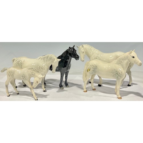 68 - A Beswick model of a Fell Pony, glazed in gloss black, 17cm, printed mark; a Beswick model of a Conn... 