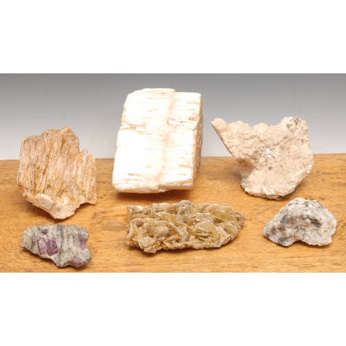 496 - Geology - a molybdenite specimen, 7.5cm wide; others, limestone coquina; satin spar gypsum; ruby in ... 