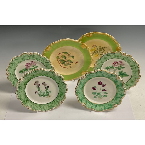 646 - A set of four 19th century Botannical plates, titled to verso; two others (6)