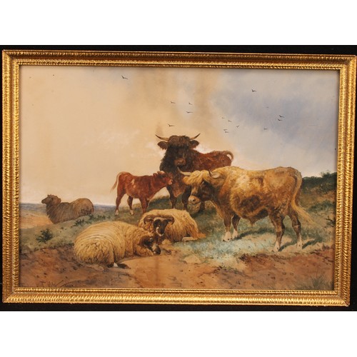 423 - Frederick E Valter (1860-1930)
Cattle and Sheep,
signed, watercolour, 30cm x 43cm