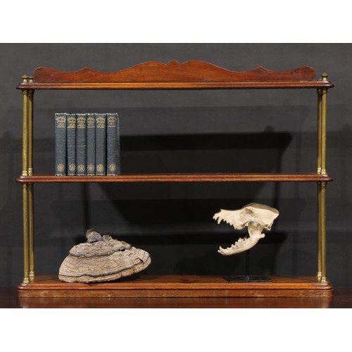 1432 - A set of 19th century walnut collector’s wall shelves, shaped cresting, brass pillar supports, 62.5c... 